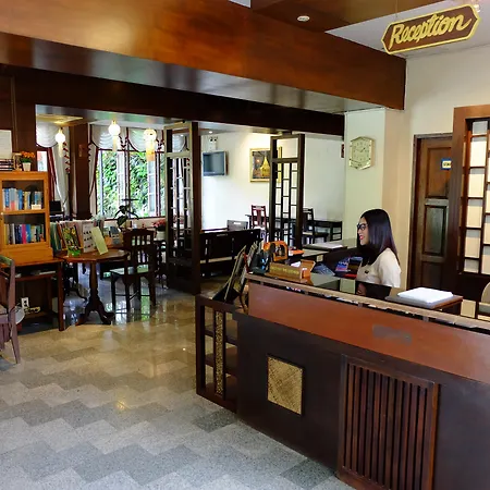 Rainforest Chiangmai Hotel-2